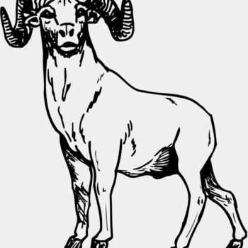 RAM009 Thumbnail