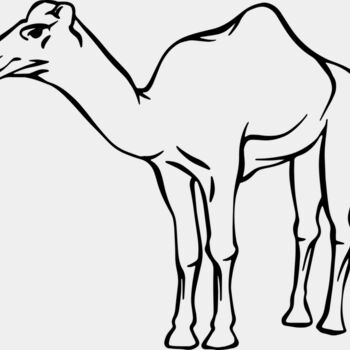 Camel   Clipart 2 Thumbnail