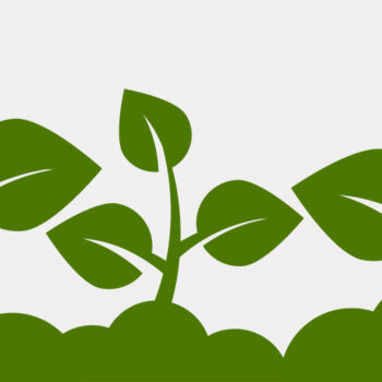 Plant Leaves Thumbnail