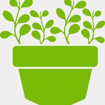 Succulent Plant 3 Thumbnail