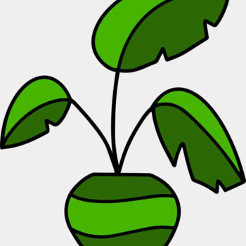 Plant Thumbnail