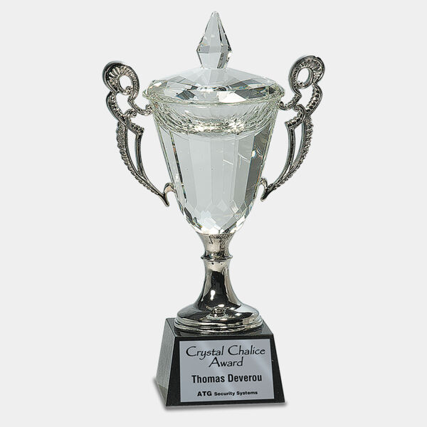 11 1/4" Crystal Cup with Handles and Stem Thumbnail