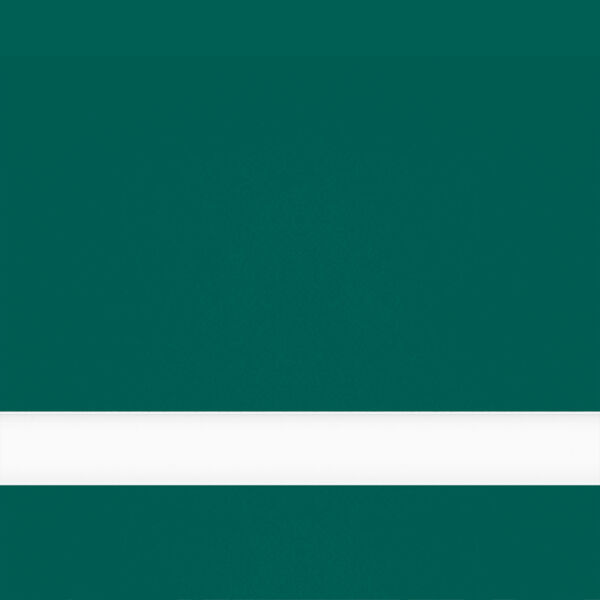 24X49 Duets Evergreen/ 1/8 Laser Xt Thumbnail