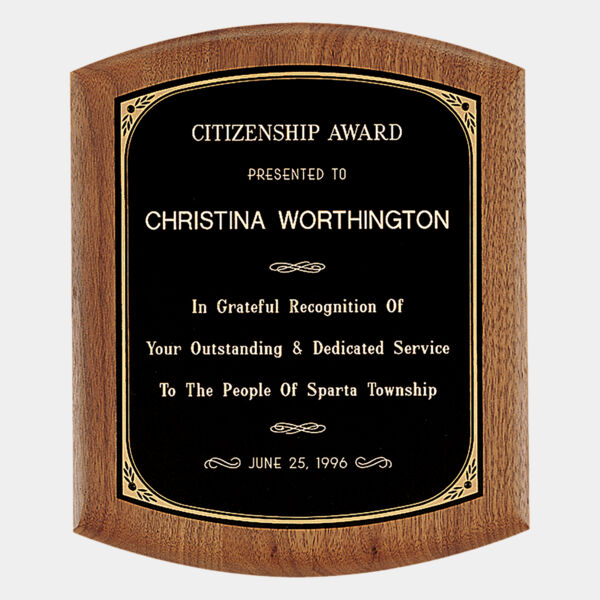 8 1/2" x 10" Coventry Series American Plaque with Border Laserable Brass Plate Thumbnail