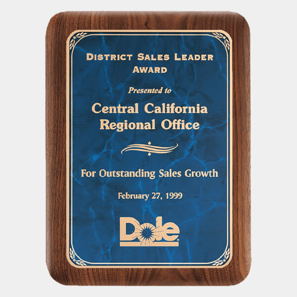 7" X 9" American Plaque with Border Sapphire Marble LaserFX Plate Thumbnail