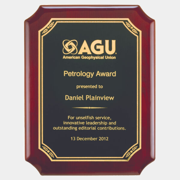 11" x 15" Airflyte Piano Finish Plaque with Florentine Leaf Design LaserFX Plate Thumbnail