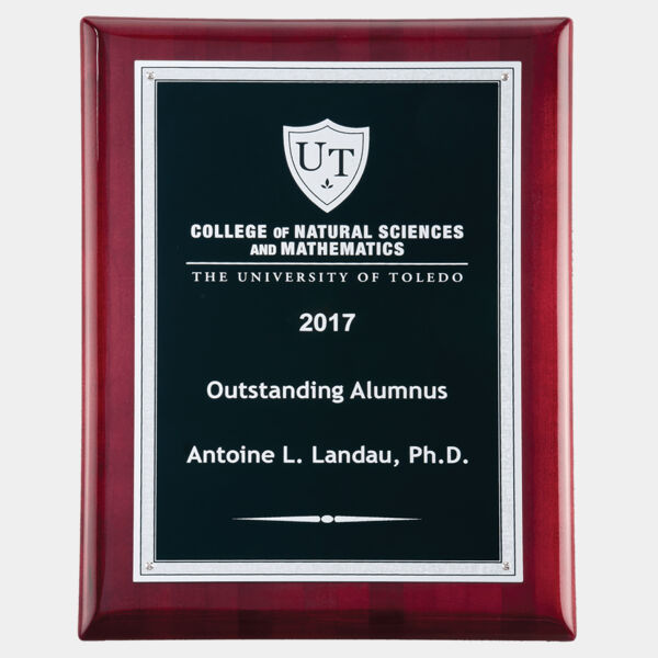 8" x 10" Airflyte Piano Finish Plaque with Textured LaserFX Plate with Florentine Border Thumbnail