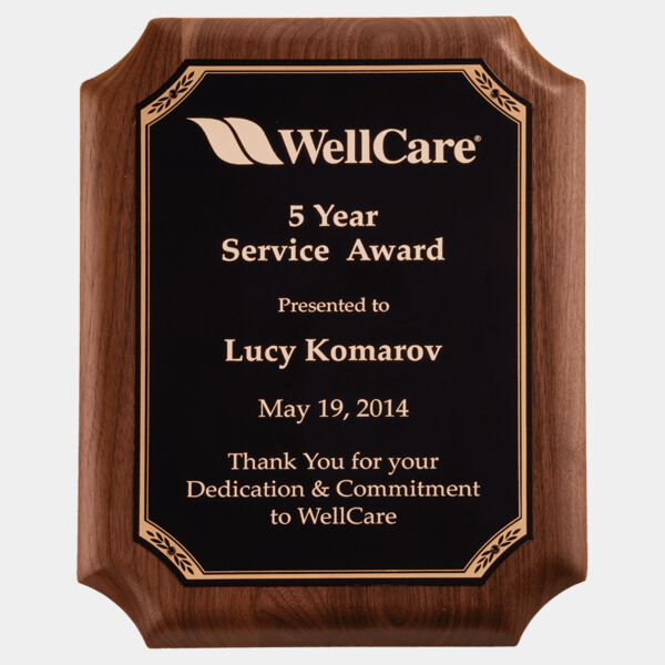 7" x 8" American Plaque with Border LaserFX Plate Thumbnail