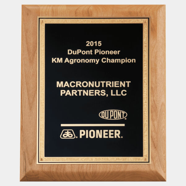 7" x 9" Natural Wood Plaque with Textured Florentine Bordered LaserFX Plate Thumbnail