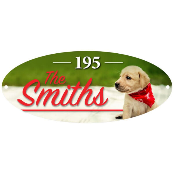 12" x 5" Gloss Unisub Oval Building Sign Thumbnail