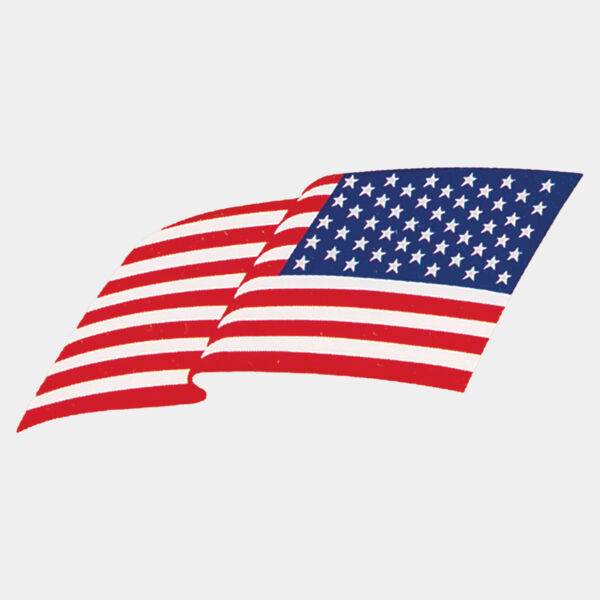 3" x 2" Small Aluminum Flag Insert Thumbnail