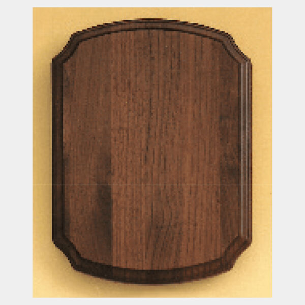 8" x 10 1/2" Airflyte American Plaque Thumbnail