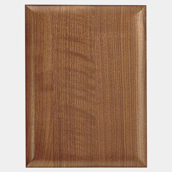 9" X 12" Airflyte Plaque Thumbnail