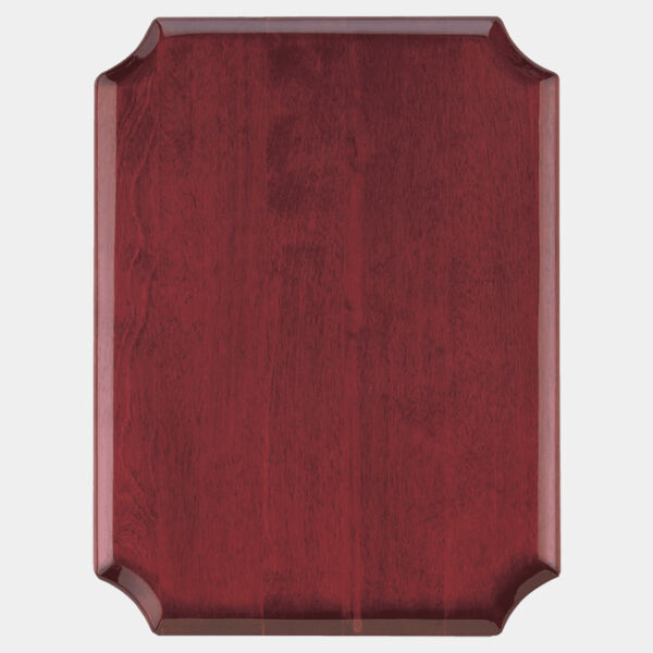 11" x 15" Airflyte High Gloss Plaque with Notched Corners Thumbnail