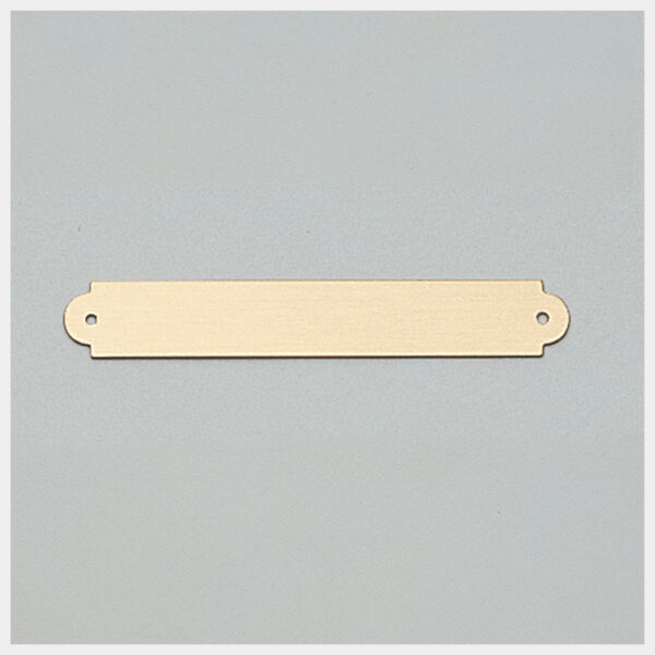 3/8" x 2 1/2" Brushed Brass Plate with Two Holes Thumbnail