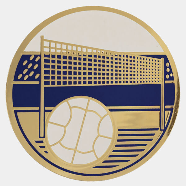 2" Volleyball Activity Insert Thumbnail