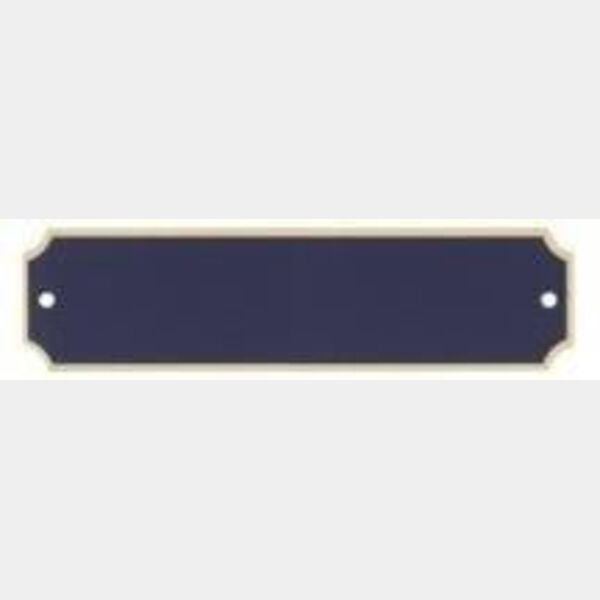 3 1/4" x 1" x .020" Laserable Brass Perpetual Plate with Border Thumbnail